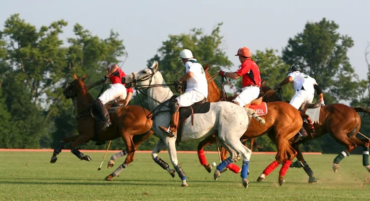 Polo Ecuestre: Guía Completa del Deporte Rey