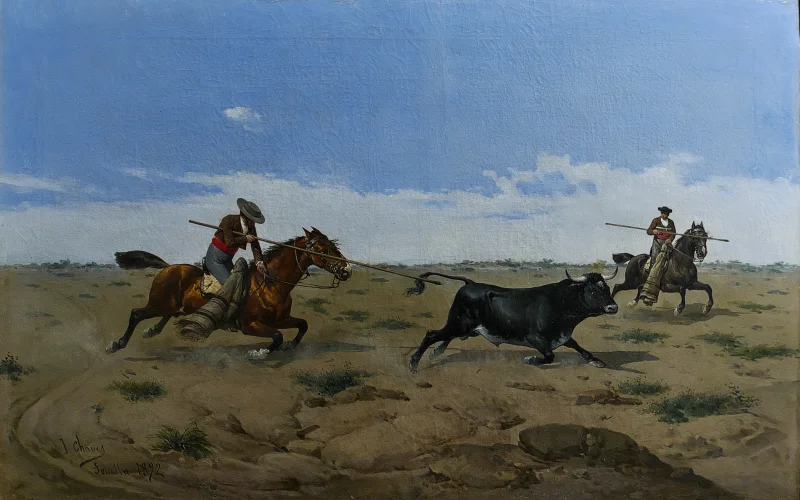 Acoso y derribo — 🏆 Disciplinas