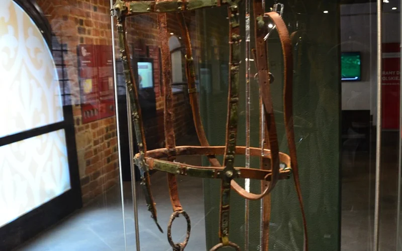 Brida — 🪖 Equipamiento