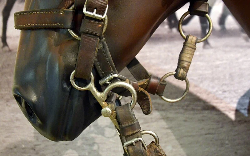 Bridón — 🪖 Equipamiento