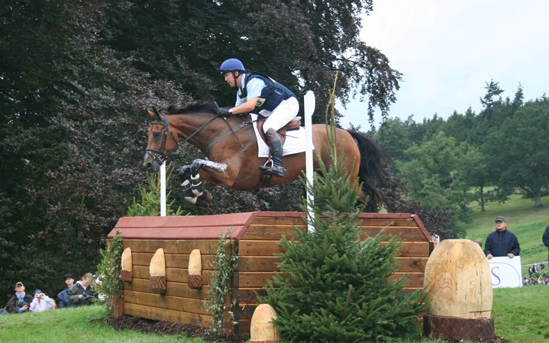 Concurso completo — 🏆 Disciplinas