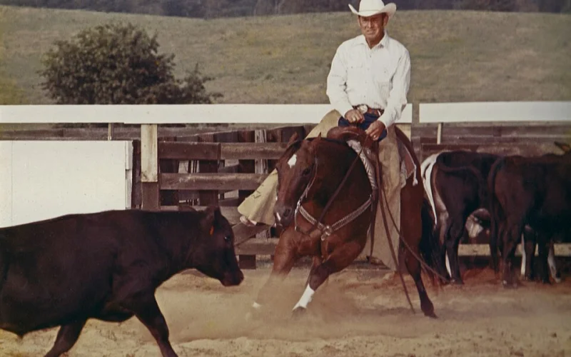 Cutting — 🏆 Disciplinas