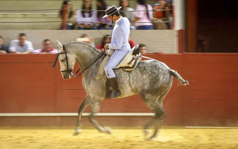 Doma vaquera — 🏆 Disciplinas