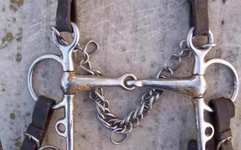 Embocadura — 🪖 Equipamiento