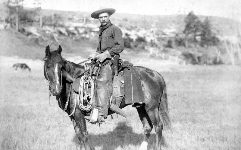 Equitación western — 🏆 Disciplinas