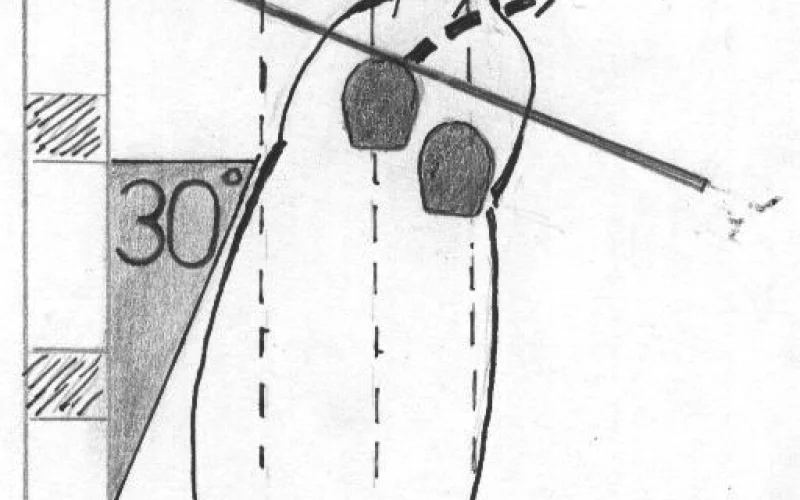 Espalda adentro — 🐎 Movimientos y aires