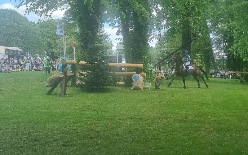 Galope — 🐎 Movimientos y aires