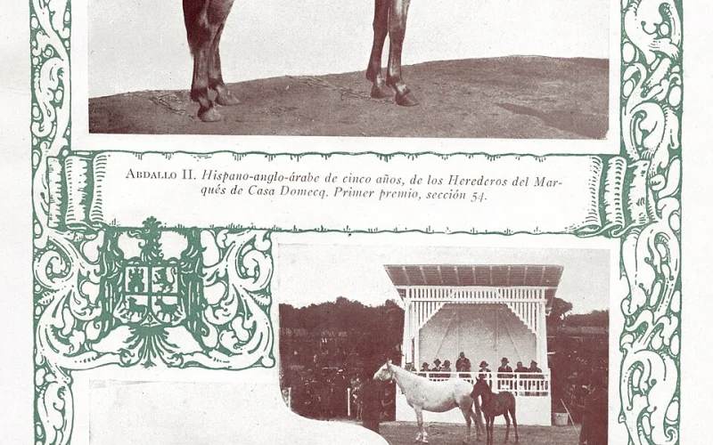 Hispano-árabe — 🧬 Razas y genética