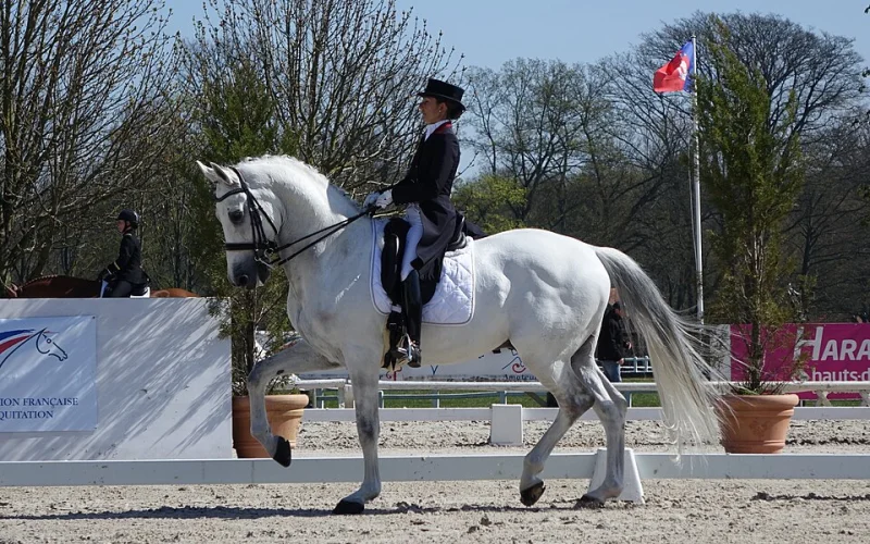 Passage — 🐎 Movimientos y aires