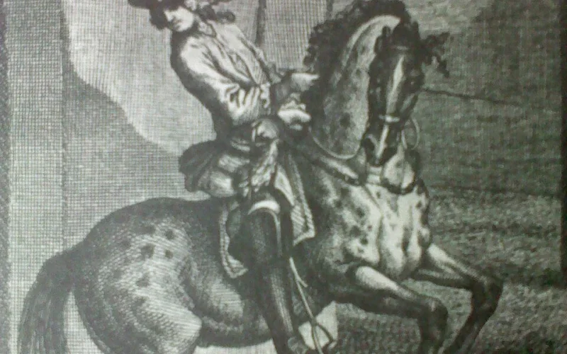 Pirueta — 🐎 Movimientos y aires