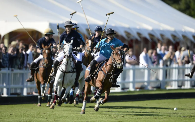 Polo ecuestre — 🏆 Disciplinas