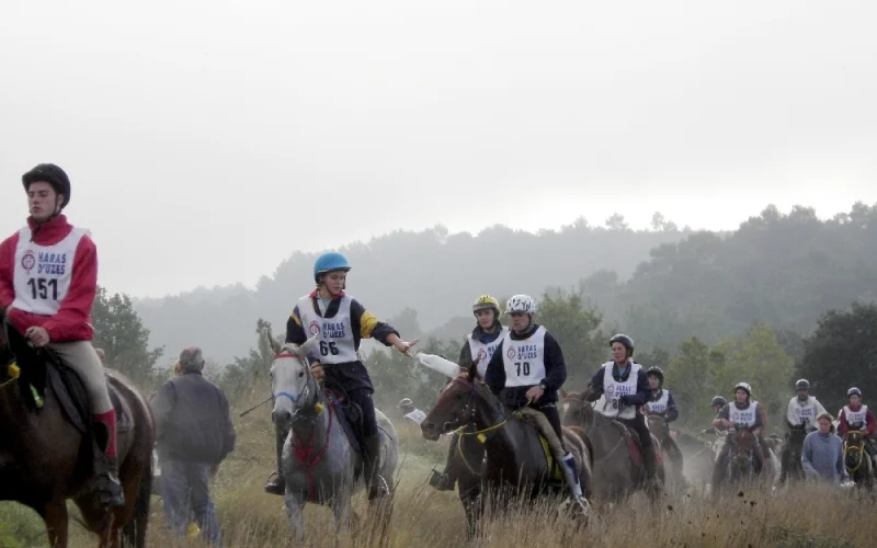 Raid hípico — 🏆 Disciplinas