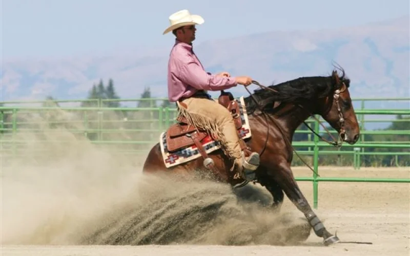 Reining — 🏆 Disciplinas