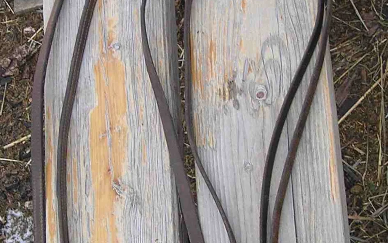 Riendas — 🪖 Equipamiento