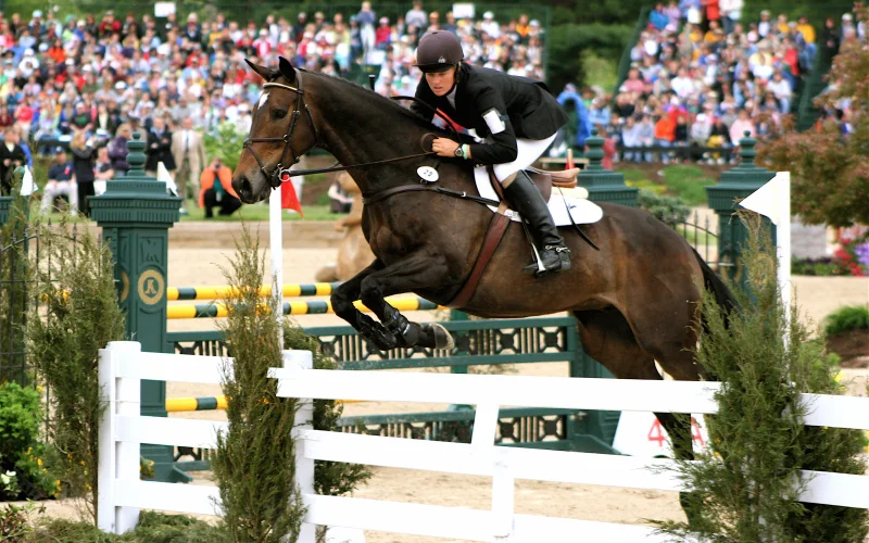 Salto de obstáculos — 🏆 Disciplinas