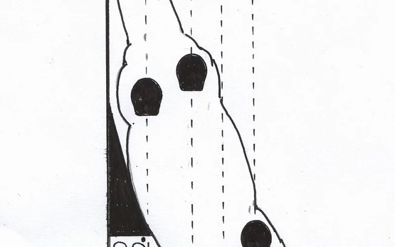 Travers — 🐎 Movimientos y aires