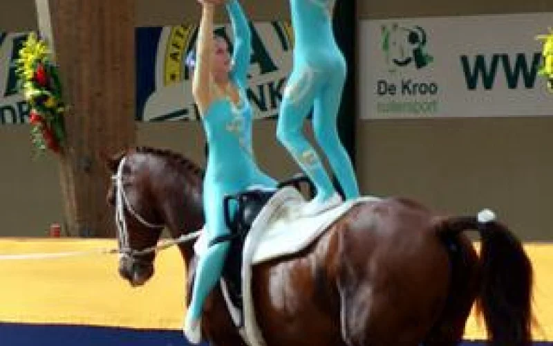 Volteo ecuestre — 🏆 Disciplinas